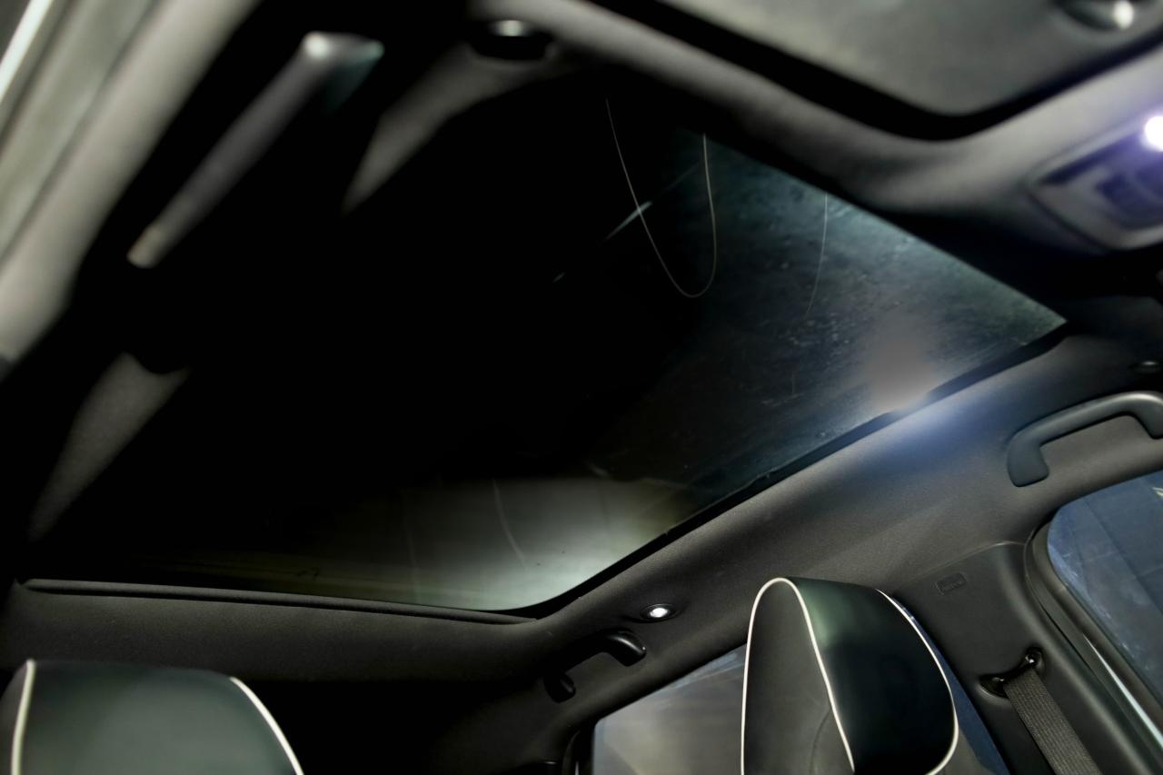 BYD Dolphin Seats