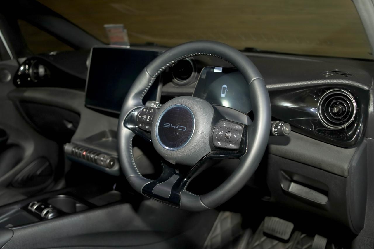 BYD Dolphin Screen