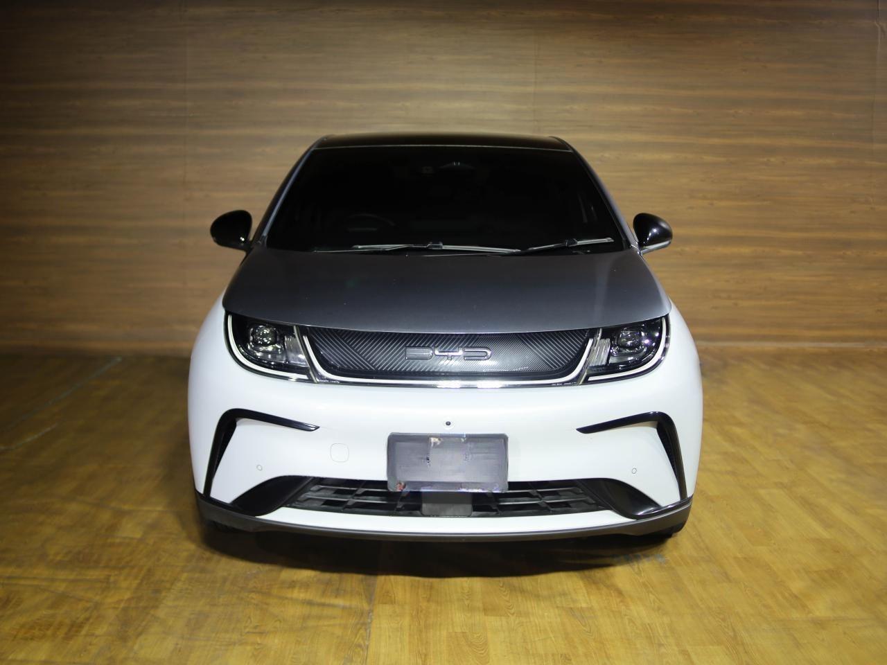 BYD Dolphin Front Side