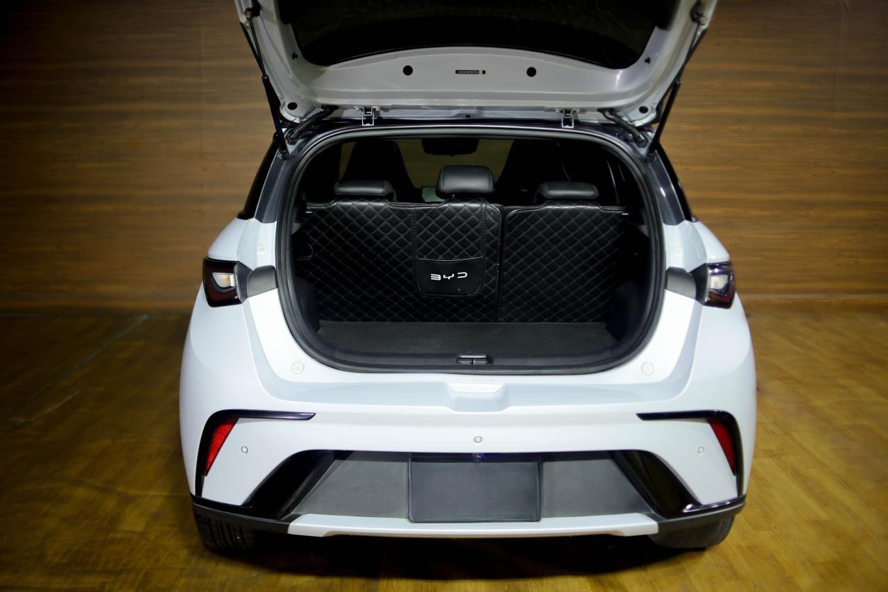 BYD Dolphin Trunk Open