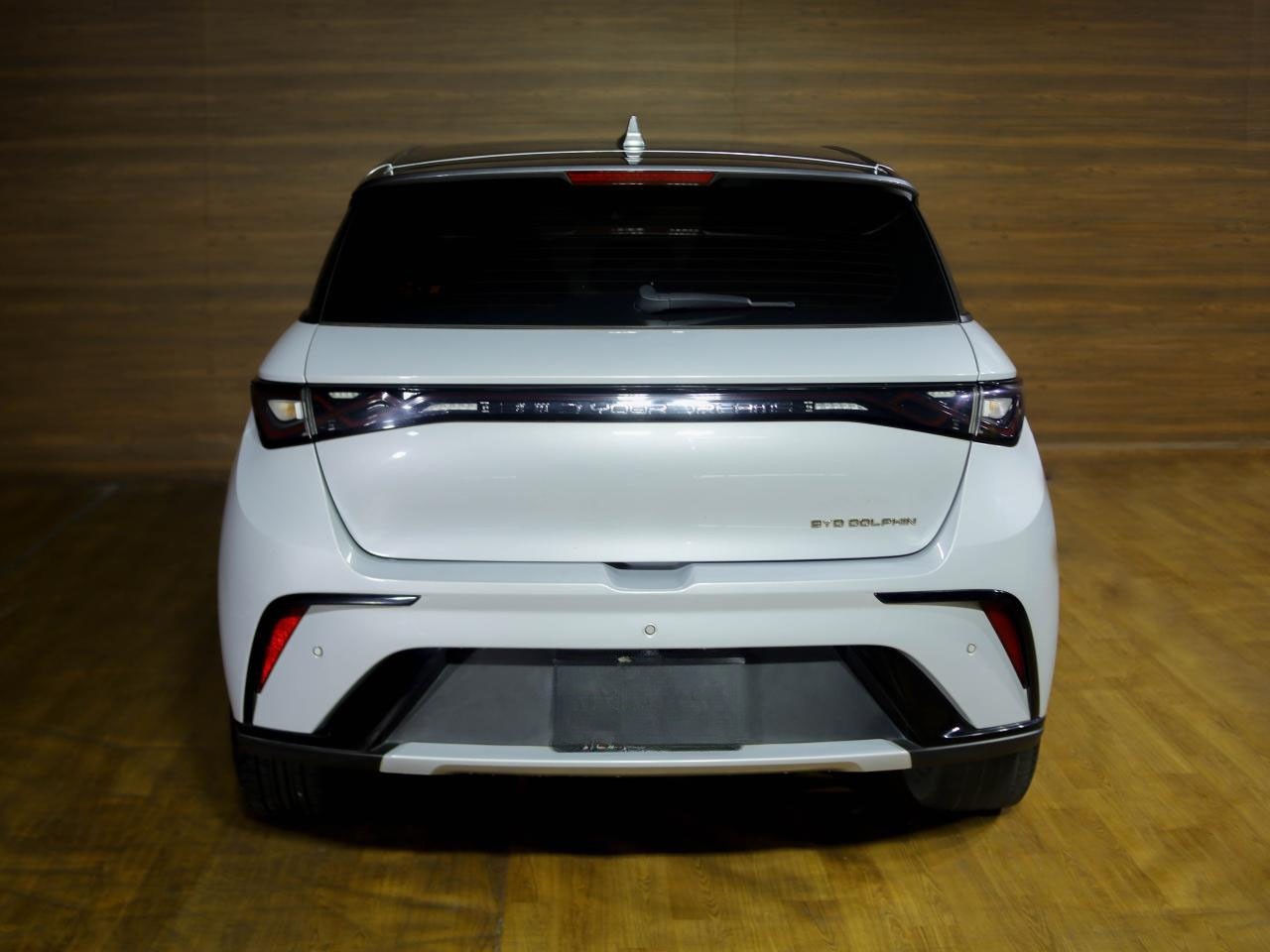BYD Dolphin Rear Angle