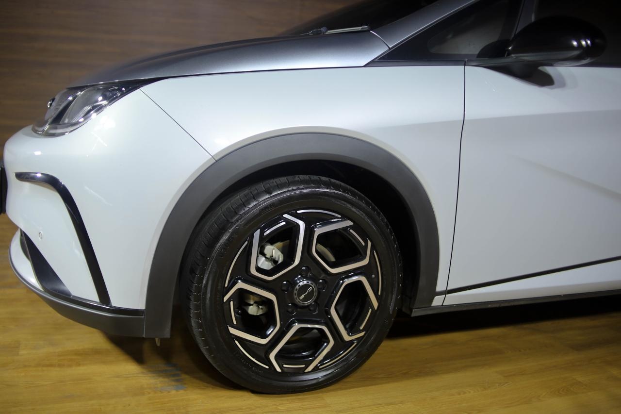 BYD Dolphin Angle