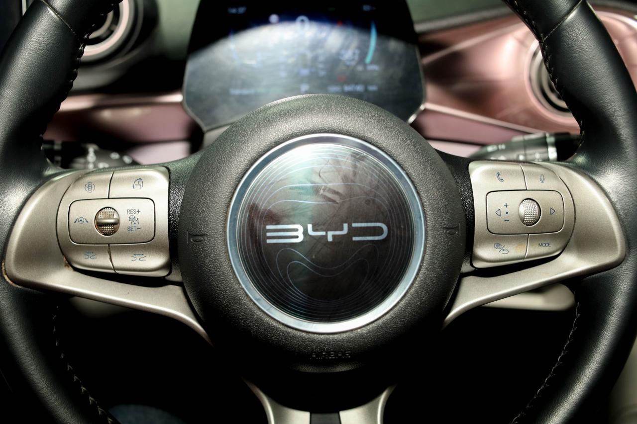 BYD Dolphin Cargo