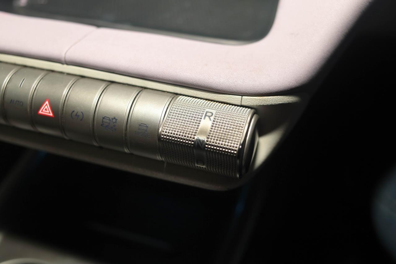 BYD Dolphin Steering Wheel