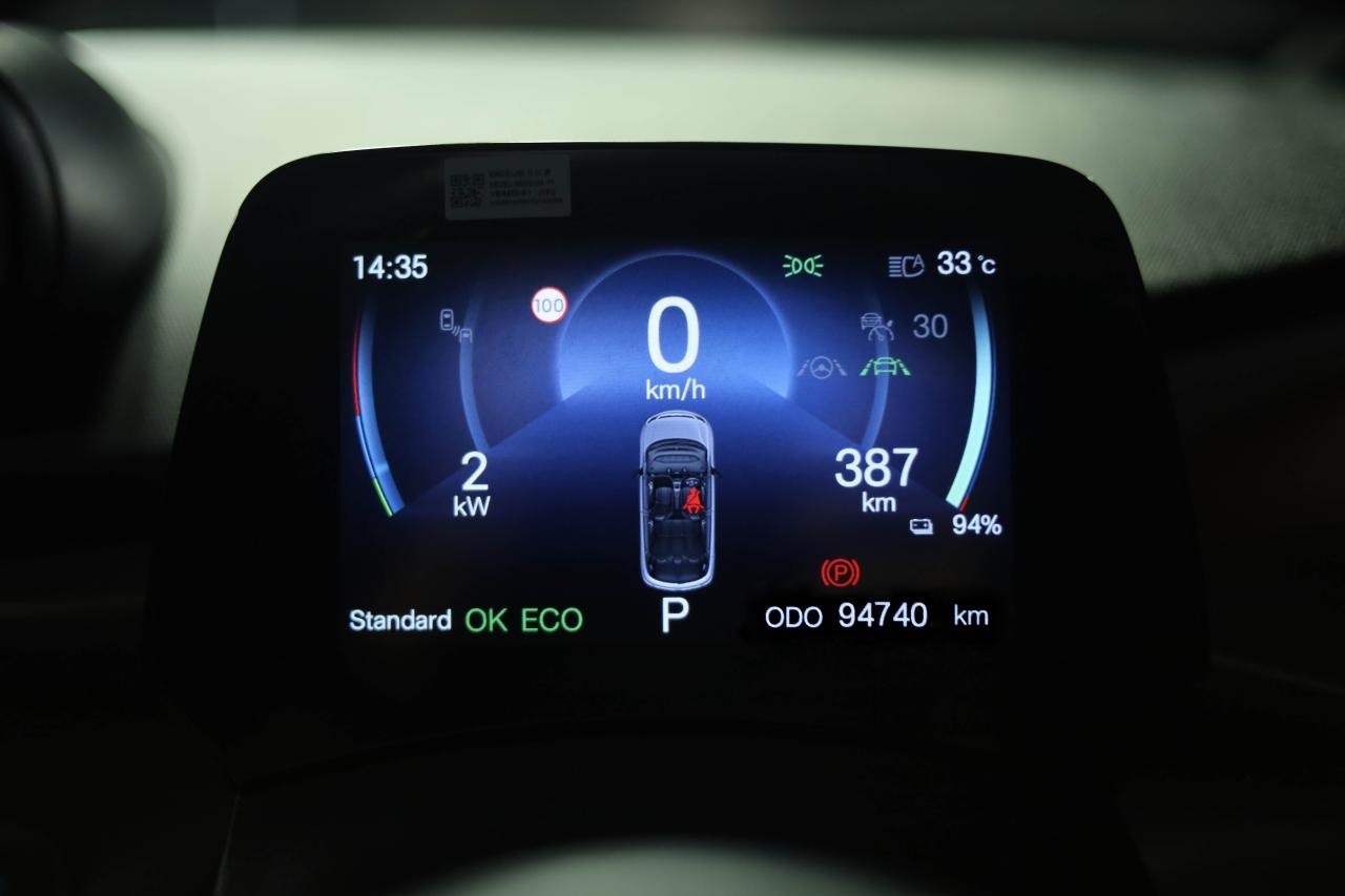BYD Dolphin Dashboard