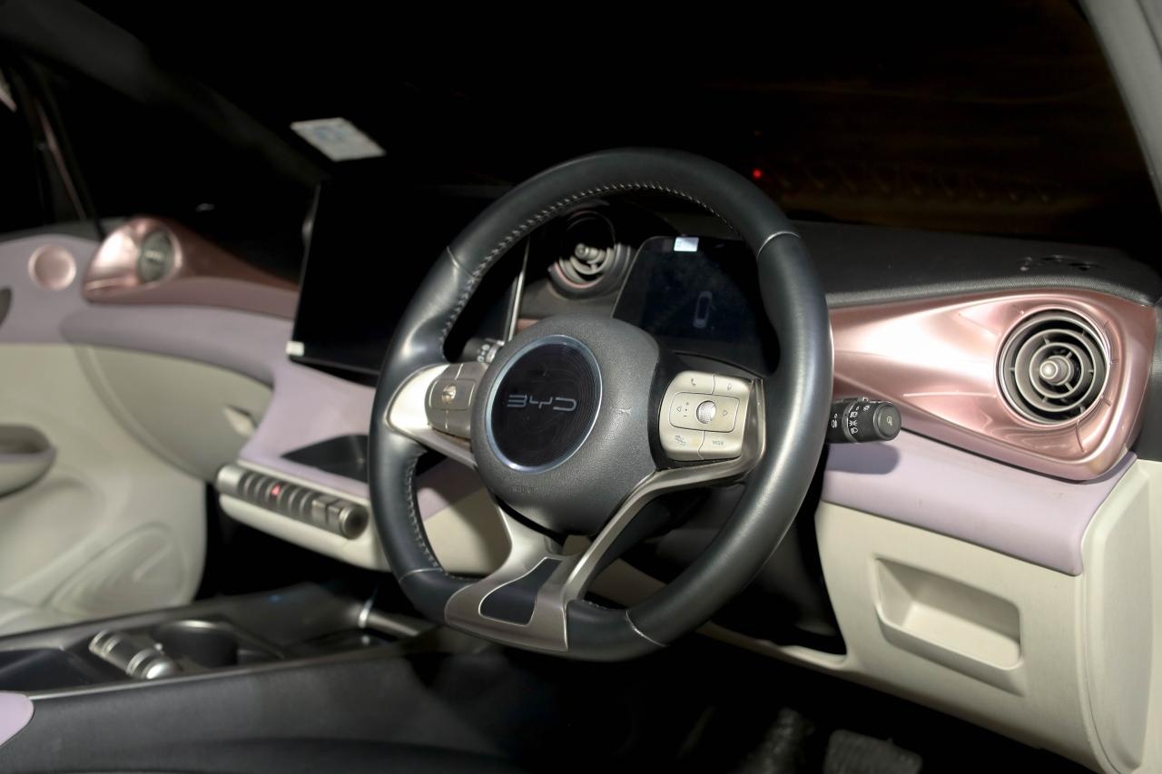 BYD Dolphin Door Panel