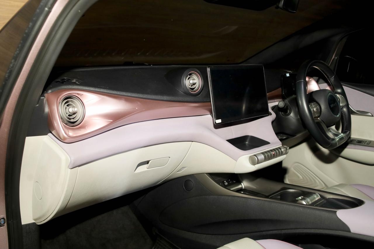 BYD Dolphin Wheel