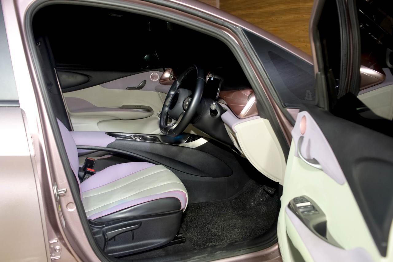 BYD Dolphin Charging Port