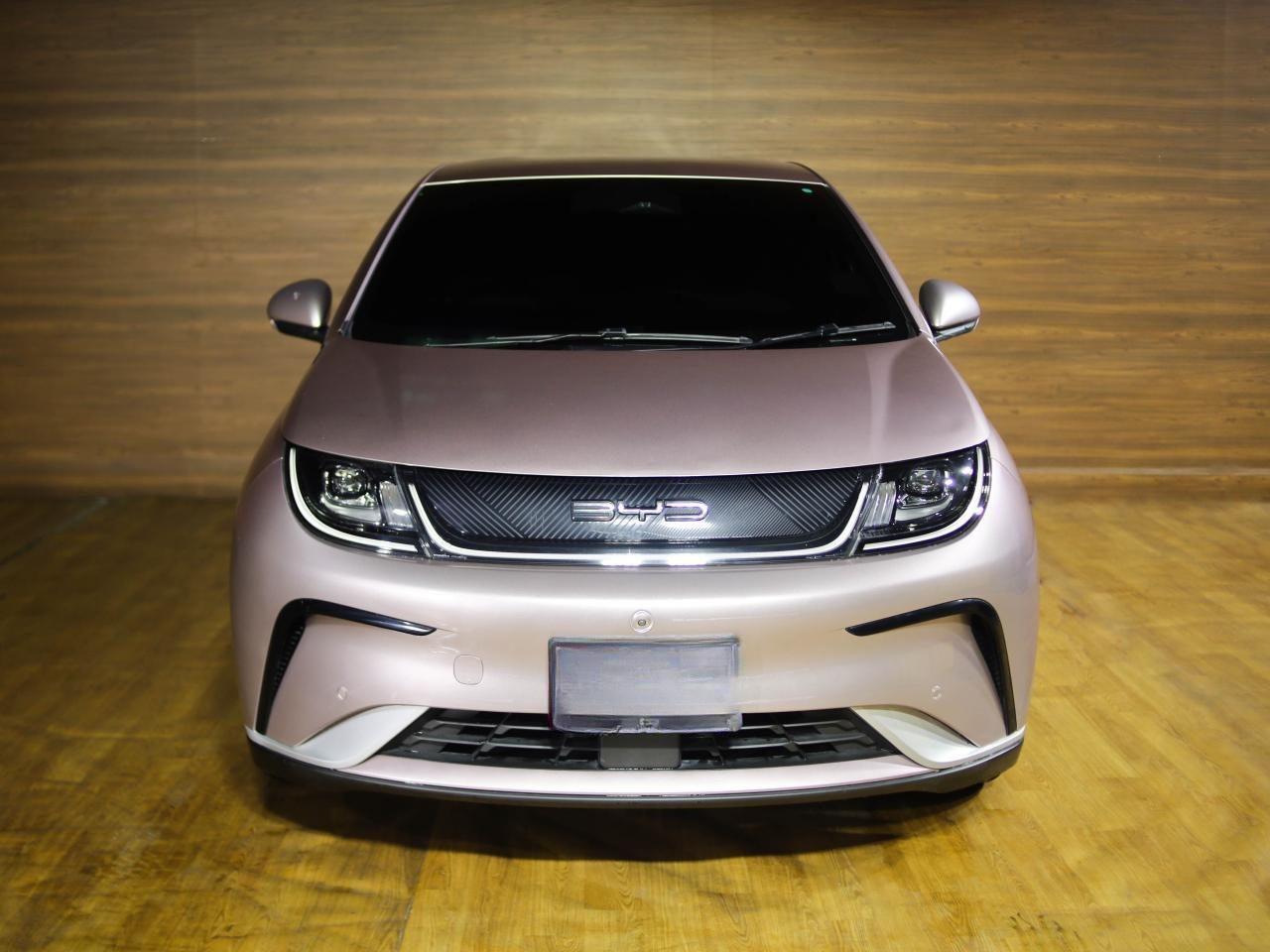 BYD Dolphin Rear View