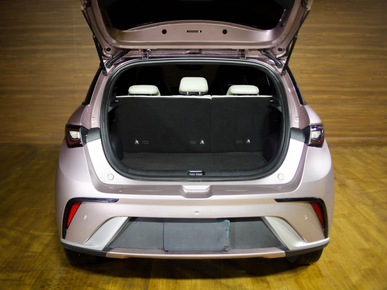 BYD Dolphin Side View