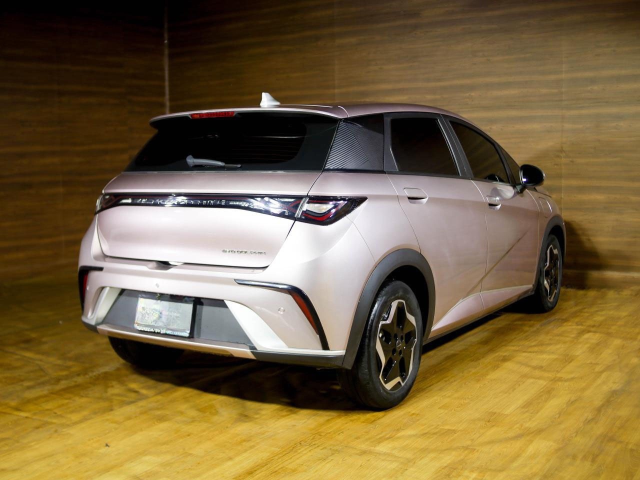 BYD Dolphin Angle View