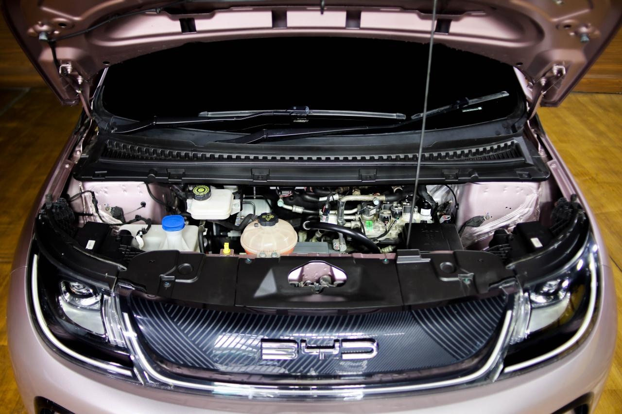 BYD Dolphin Front Angle