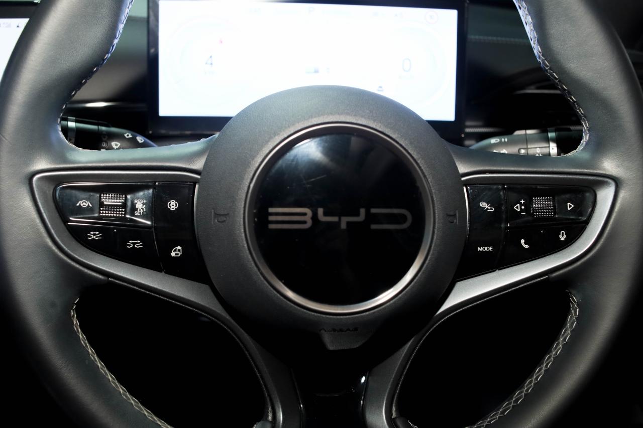 BYD SEAL Detail 12