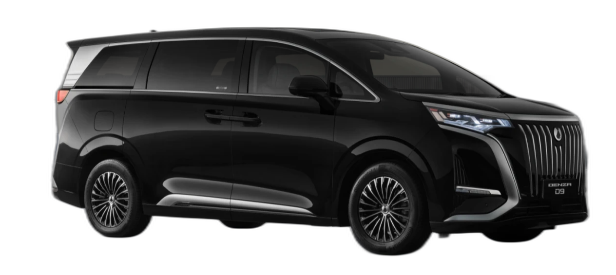 DENZA D9