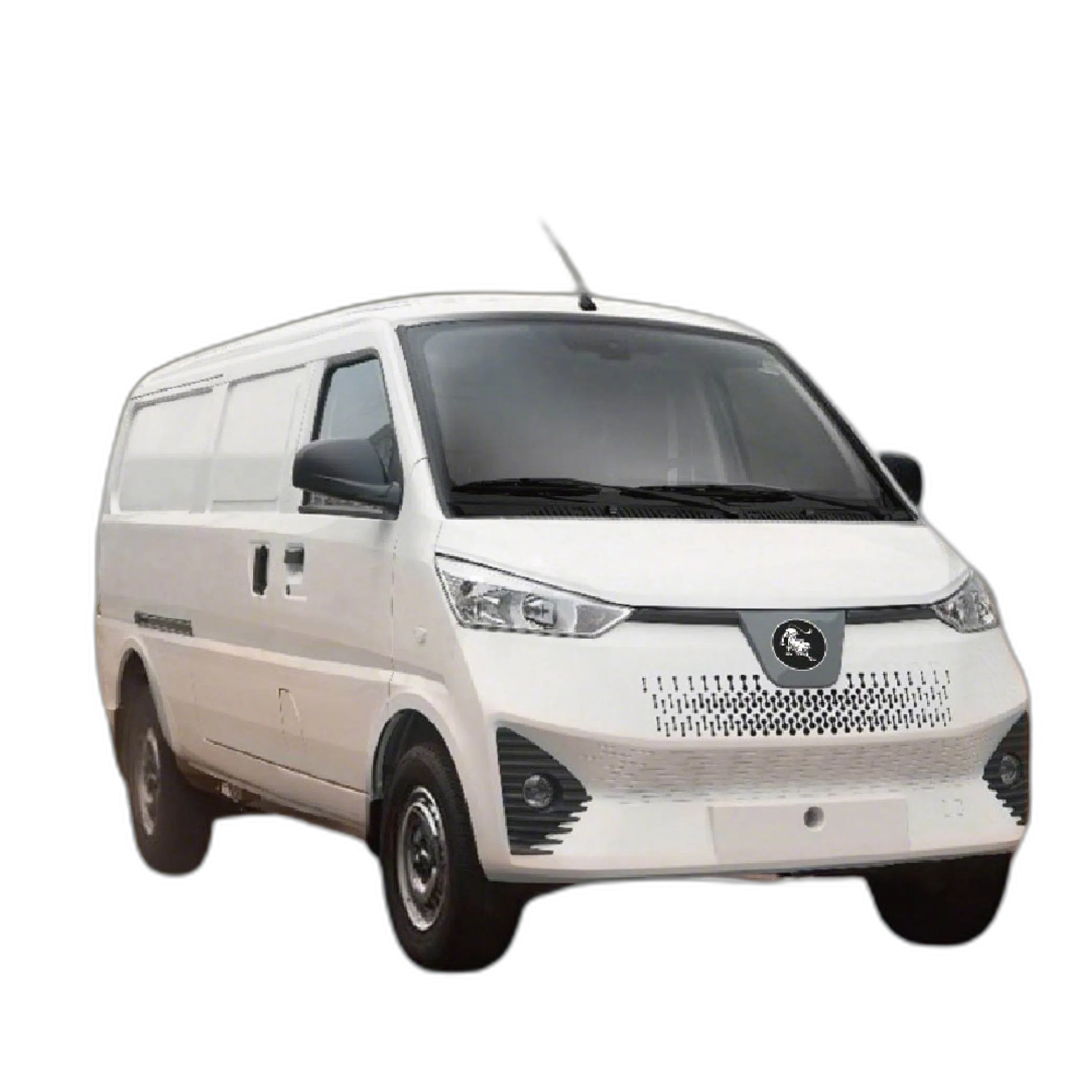 Van G100, photograph 1 of 1